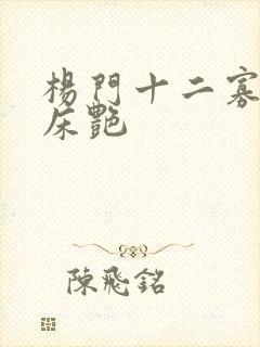 杨门十二寡妇肉床艳
