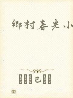 乡村春光小说