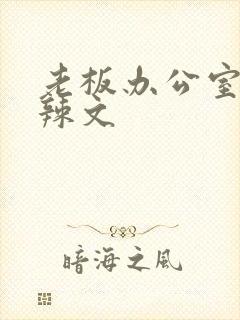 老板办公室系列辣文