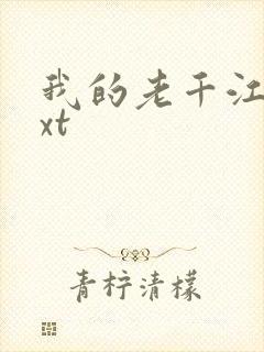 我的老千江湖txt