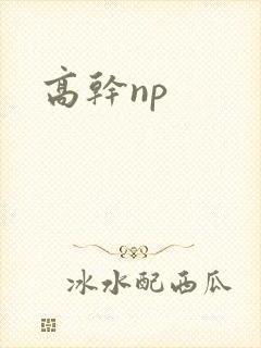 高干np