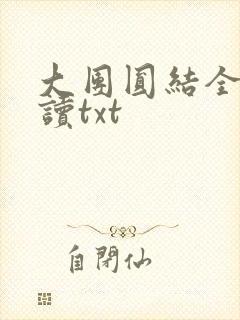 大团圆结全文阅读txt