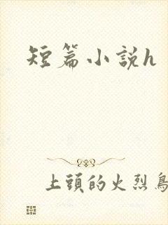 短篇小说h
