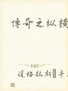 传奇之纵横玛法