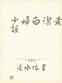 少妇白洁黄色小说