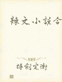 辣文小说合集封面