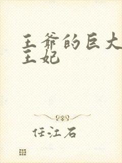 王爷的巨大进入王妃