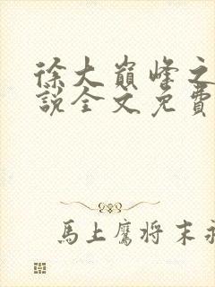 徐大巅峰之路小说全文免费阅读