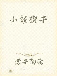 小说楔子