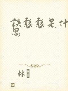 铁憨憨是什么意思