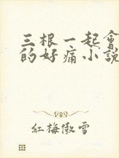 三根一起会坏掉的好痛小说