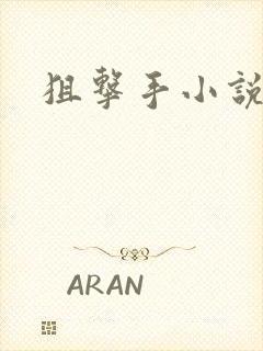 《狙击手小说》小说封面