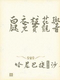 白衣校花与大长腿免费观看电视剧