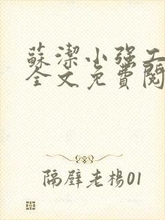 苏洁小强工地情全文免费阅读