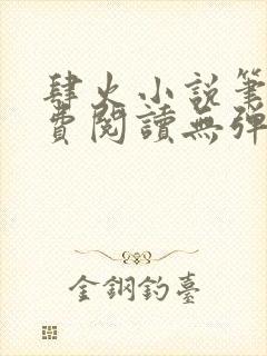 肆火小说笔趣免费阅读无弹窗