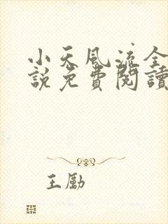 小天风流全集小说免费阅读