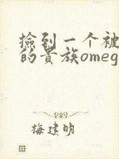 捡到一个被抹布的贵族omega