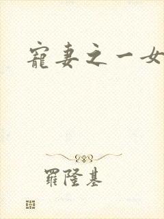 宠妻之一女二夫