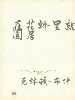 在花轿里就开始圆房