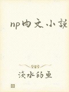 np肉文小说