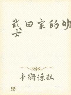 武田家的明国武士