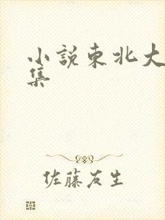 小说东北大炕全集