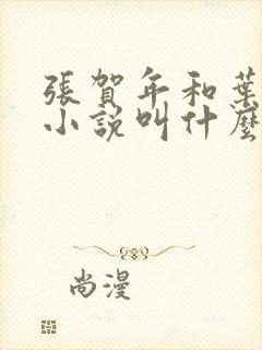 张贺年和叶繁姿小说叫什么名字