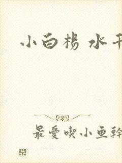 小白杨 水千丞