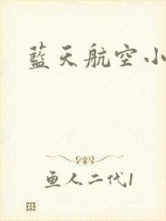 蓝天航空小说
