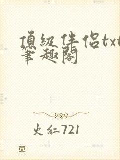 顶级伴侣txt笔趣阁