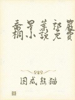 乔星叶祁严梁雨桐小说免费阅读