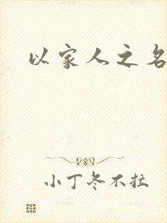 以家人之名小说