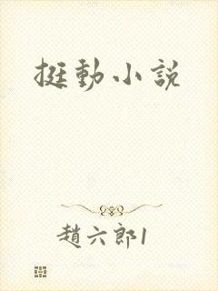 挺动小说