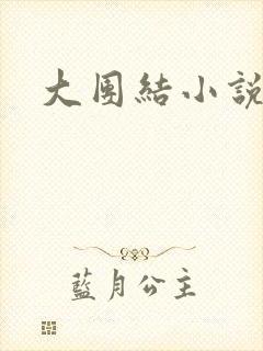 大团结小说下载