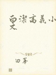 白洁高义小说全文