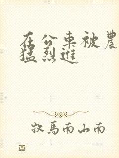 在公车被农民工猛烈进