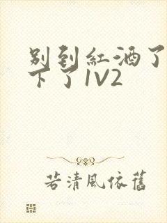 别到红酒了装不下了1V2