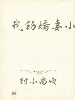 我的娇妻小说