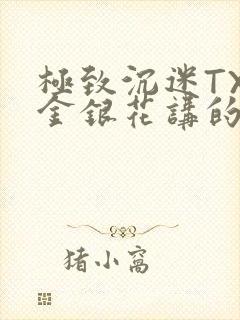 极致沉迷TXL金银花讲的什么