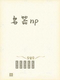 名器np