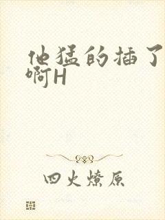 他猛的插了进去啊H