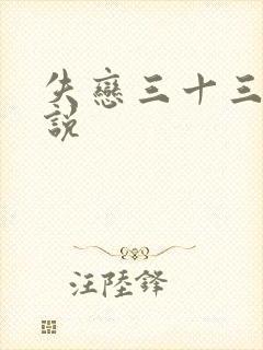 失恋三十三天小说