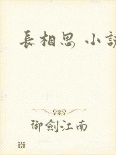 长相思 小说