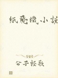 纸飞机小说