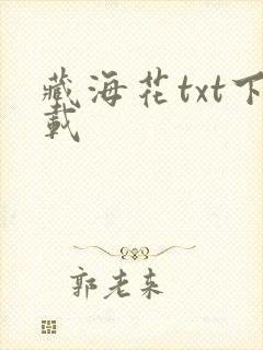 藏海花txt下载