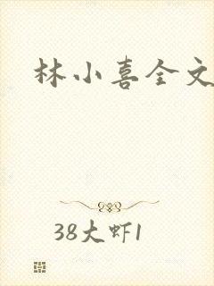 林小喜全文阅读