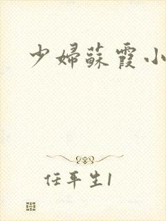 少妇苏霞小说封面