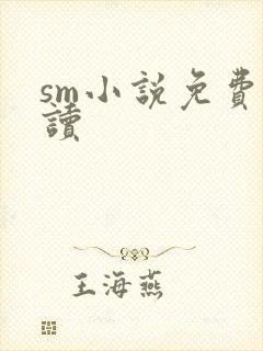 sm小说免费阅读封面