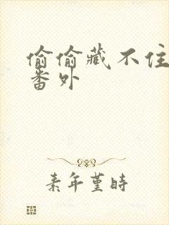 偷偷藏不住新婚番外