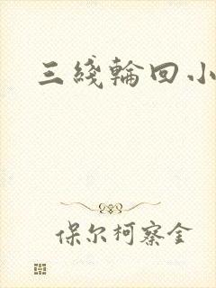 三线轮回小说